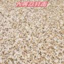 衡水黄金麻大黄荔枝面