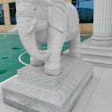 衡水 白麻花岗岩动物异形石雕-大象