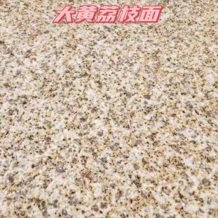 衡水黄金麻大黄荔枝面