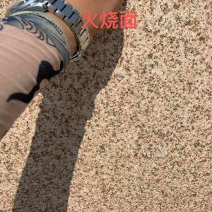 衡水黄金麻火烧面
