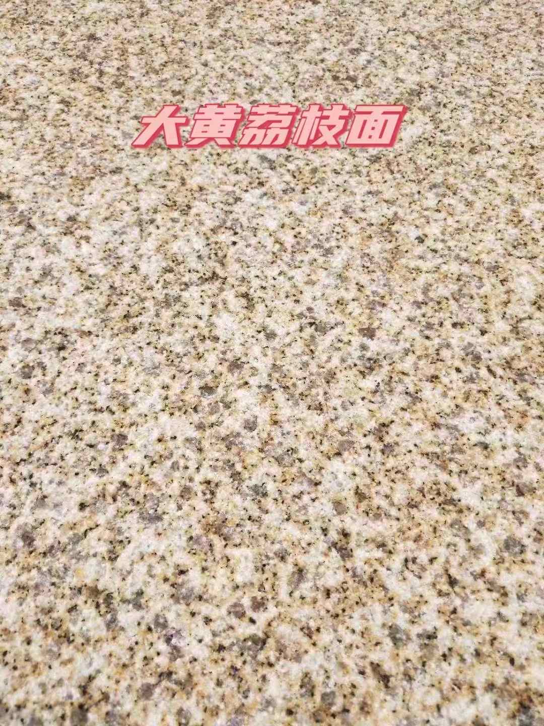 衡水黄金麻大黄荔枝面